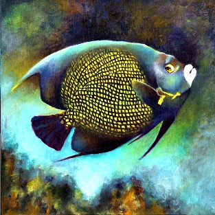 French Angelfish with attitude