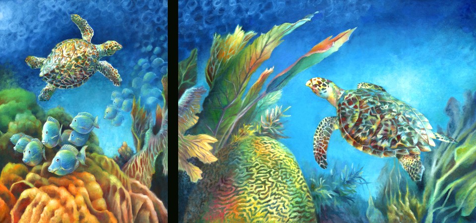 Hawksbill Turtles, Blue Tang, Brain Coral, underwater sea life